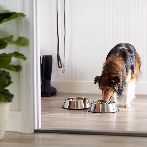 Premium Stainless Steel Dog Bowl with Non-Slip Rubber Base – 25 cm, Easy to Clean, Rust-Resistant Feeder for Dry & Wet Food, Snacks & Water