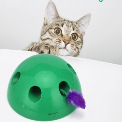 Interactive Skill-Building Cat Toy with Moving Mouse and Sound Effects