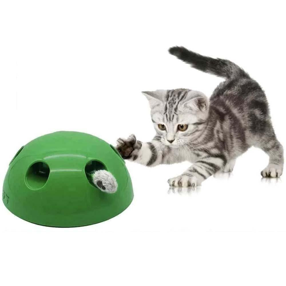 Interactive Skill-Building Cat Toy with Moving Mouse and Sound Effects