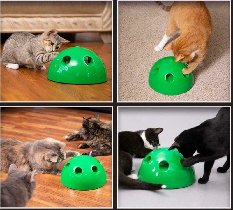 Interactive Skill-Building Cat Toy with Moving Mouse and Sound Effects